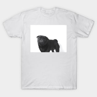 Hugo The black Pug - T-Shirt